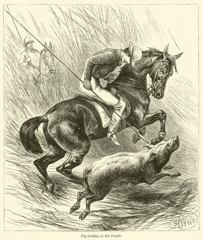 Schweinejagd im Dschungel von English School