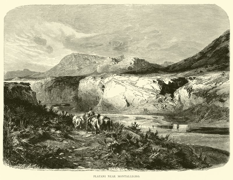 Platani bei Montallegro von English School