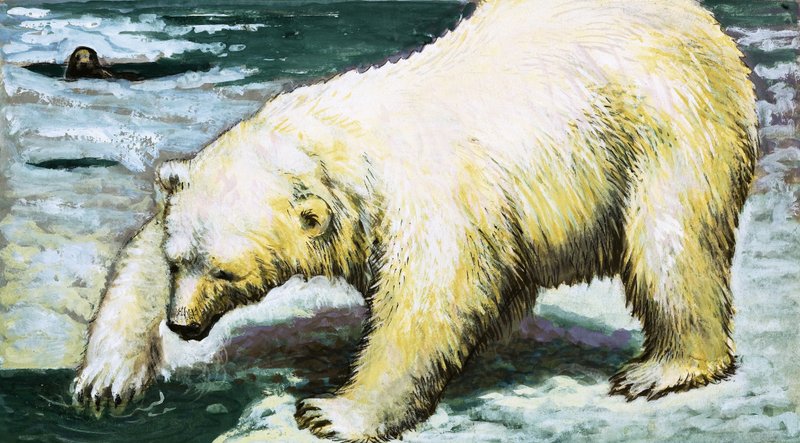Eisbär beim Fischen von English School