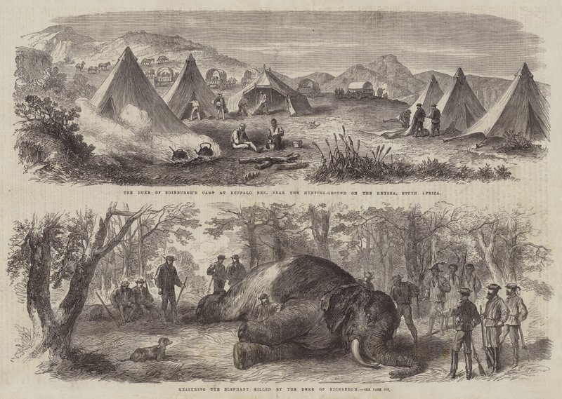 Prinz Arthur in Südafrika (Stich) von English School