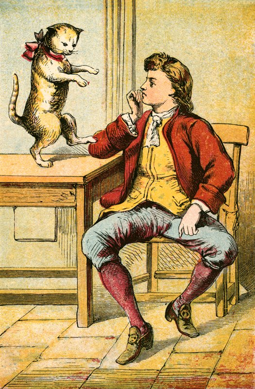 Der gestiefelte Kater von English School