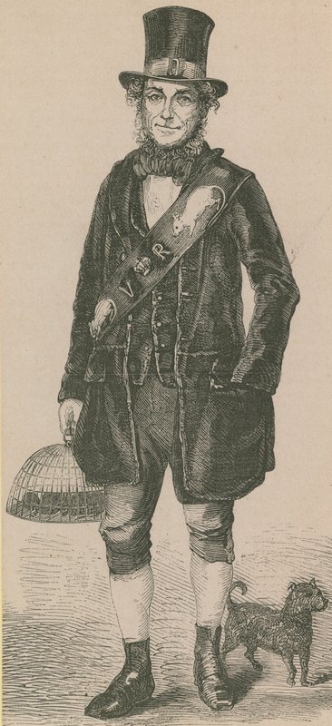 Rattenfänger von English School