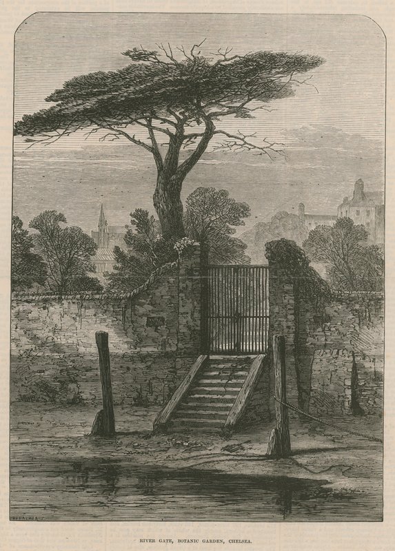 Flusstor des Botanischen Gartens von English School
