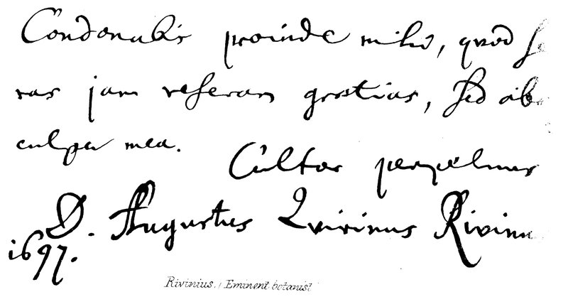 Rivinius von English School