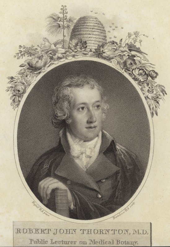 Robert John Thornton von English School