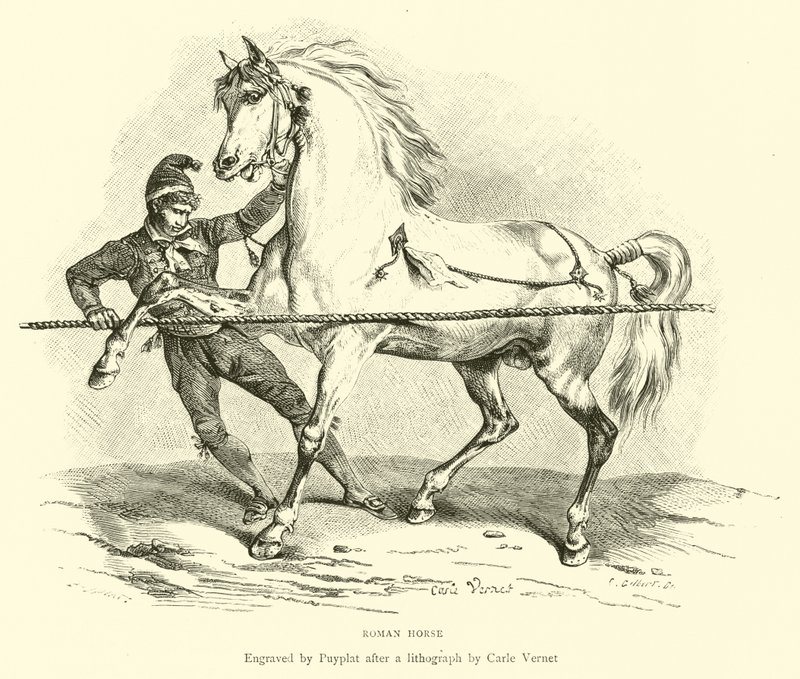 Römisches Pferd von English School