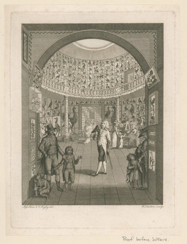 Rotunde im Leverian Museum von English School