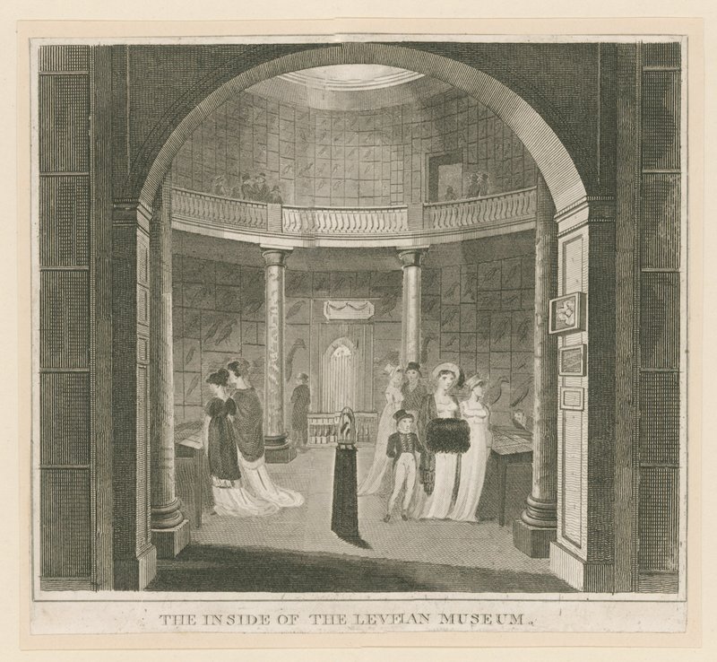 Rotunde im Leverian Museum von English School