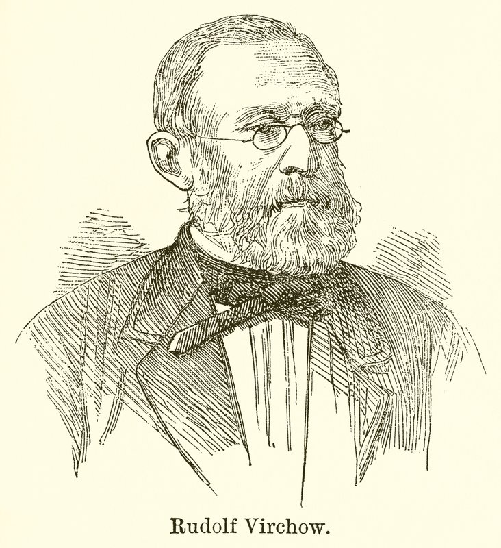 Rudolf Virchow von English School