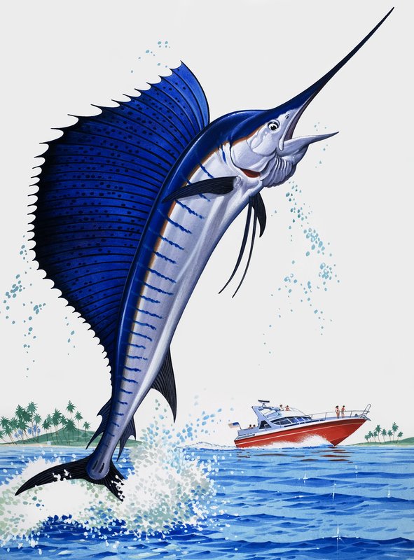 Segelfisch von English School