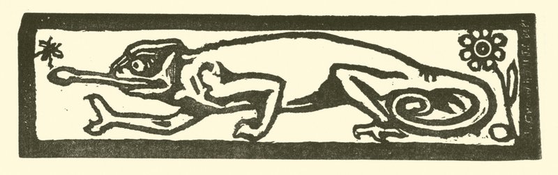 Salamander von English School