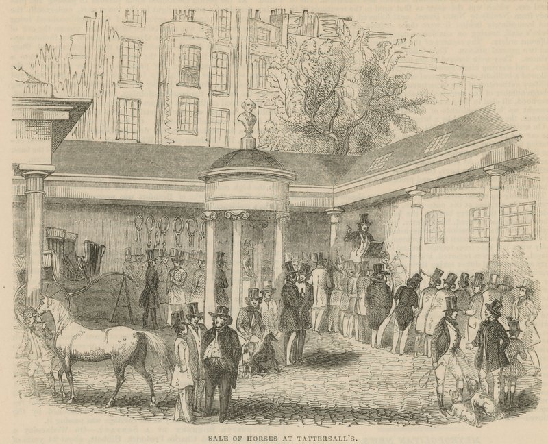 Pferdeverkauf bei Tattersalls von English School