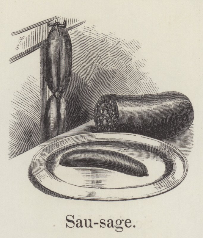 Wurst von English School
