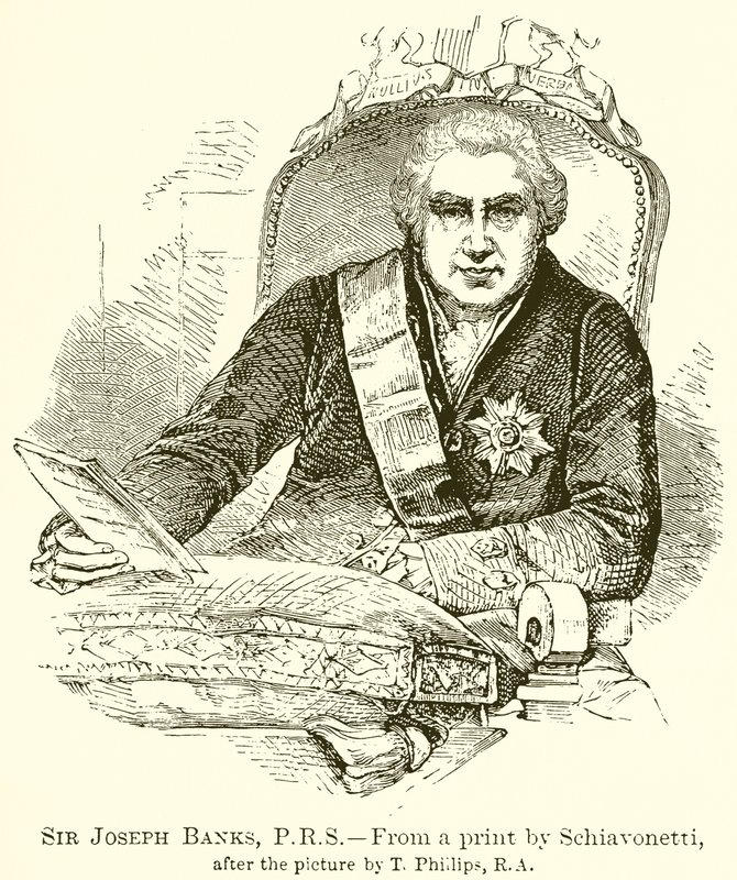 Sir Joseph Banks von English School