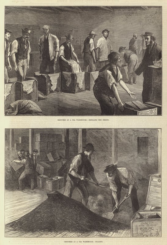Skizzen in einem Teelagerhaus (Stich) von English School