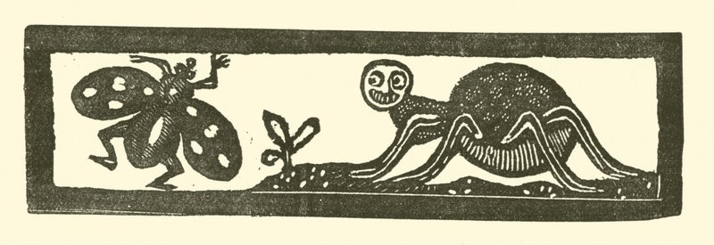 Spinne und Fliege von English School