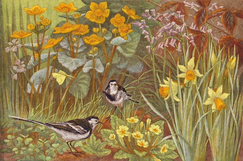 Frühling von English School