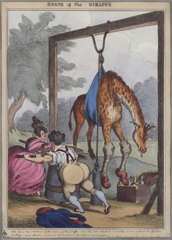 Zustand der Giraffe von English School