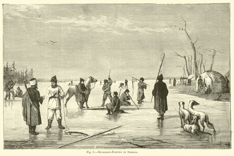 Störfischen in Sibirien von English School