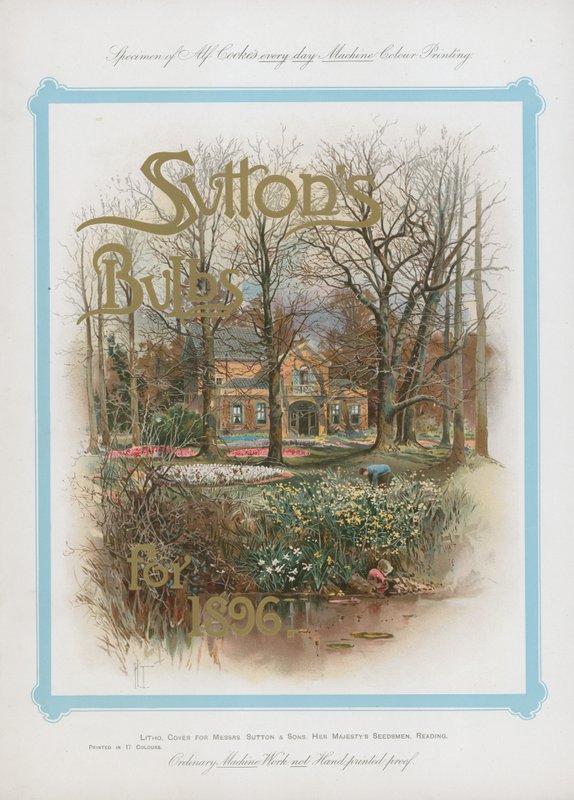 Suttons Zwiebeln für 1896 von English School