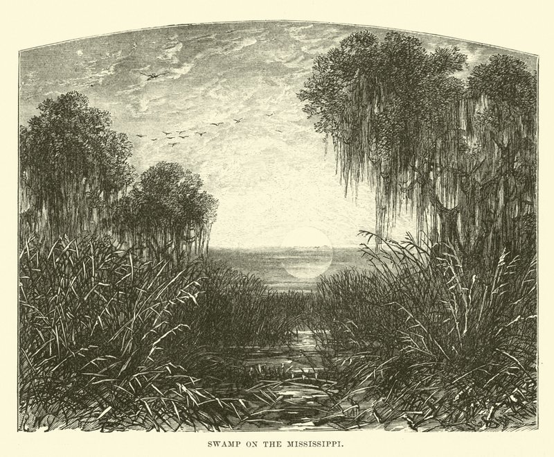 Sumpf am Mississippi von English School