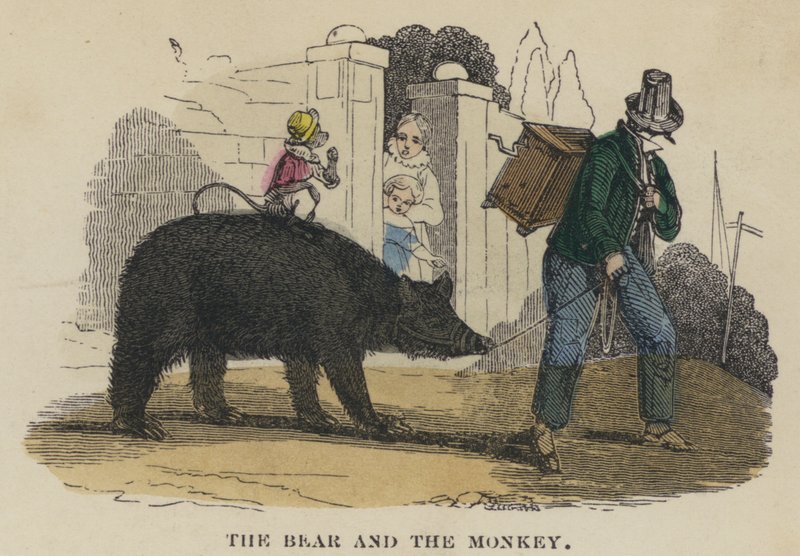 Der Bär und der Affe von English School