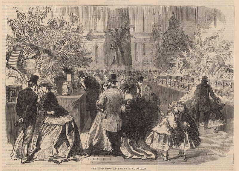 Die Vogelschau im Crystal Palace von English School