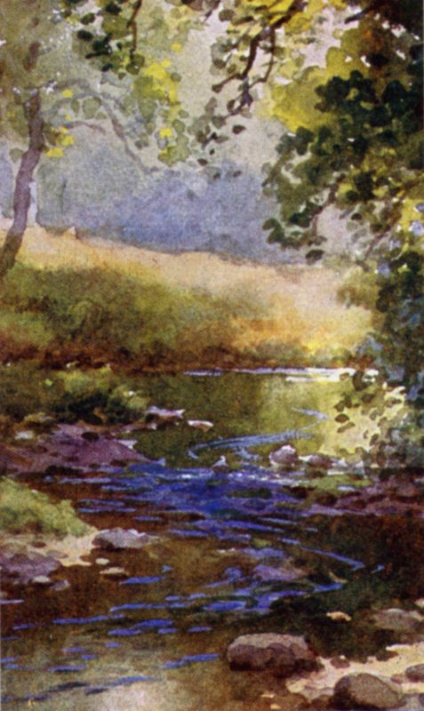 Der Bach von English School