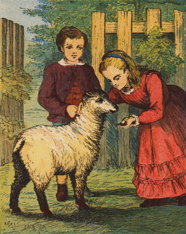 Das "Kuckuck"-Lamm von English School