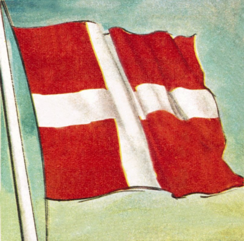 Die dänische Flagge von English School