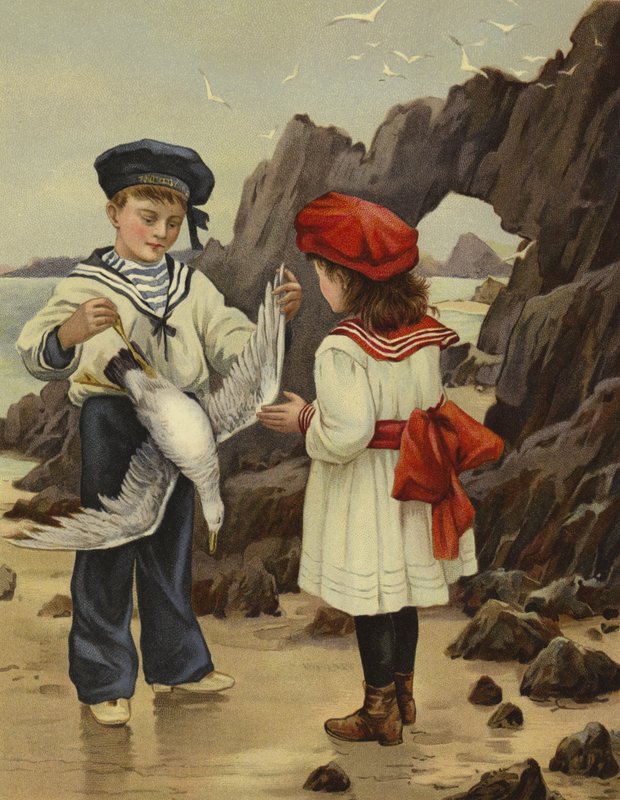 Die tote Möwe von English School