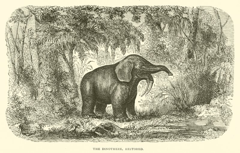 Der Dinotherium, restauriert (Gravur) von English School