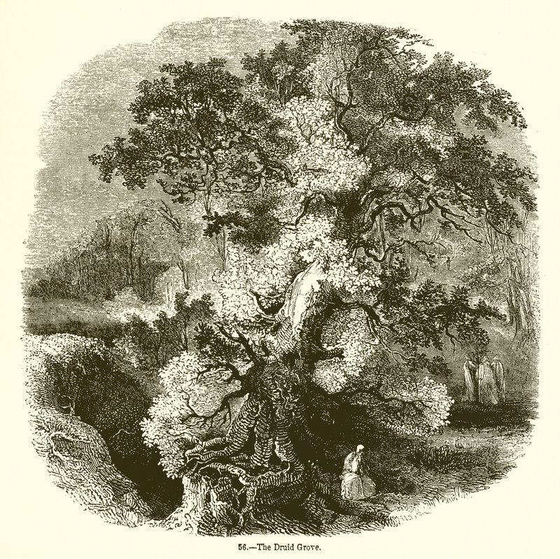 Der Druidenhain von English School