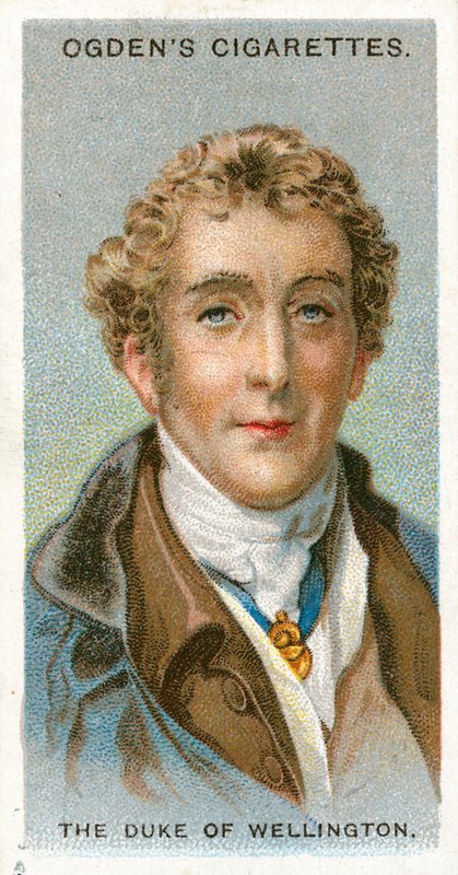 Der Herzog von Wellington von English School
