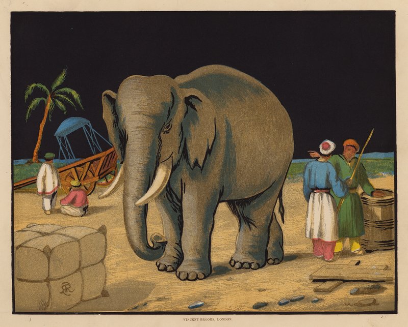 Der Elefant von English School