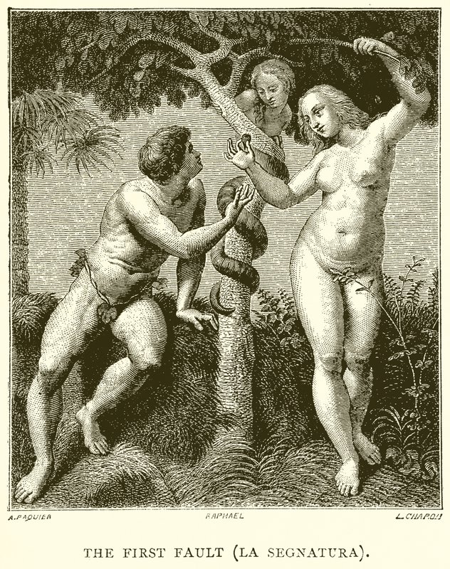 Der erste Fehler (La Segnatura) von English School