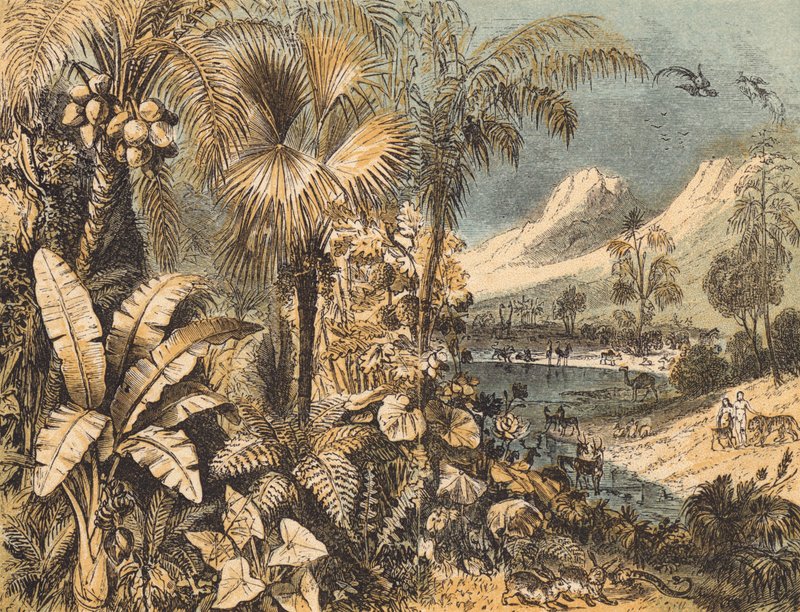 Der Garten Eden von English School