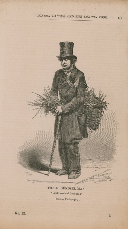 Der Grundselmann von English School