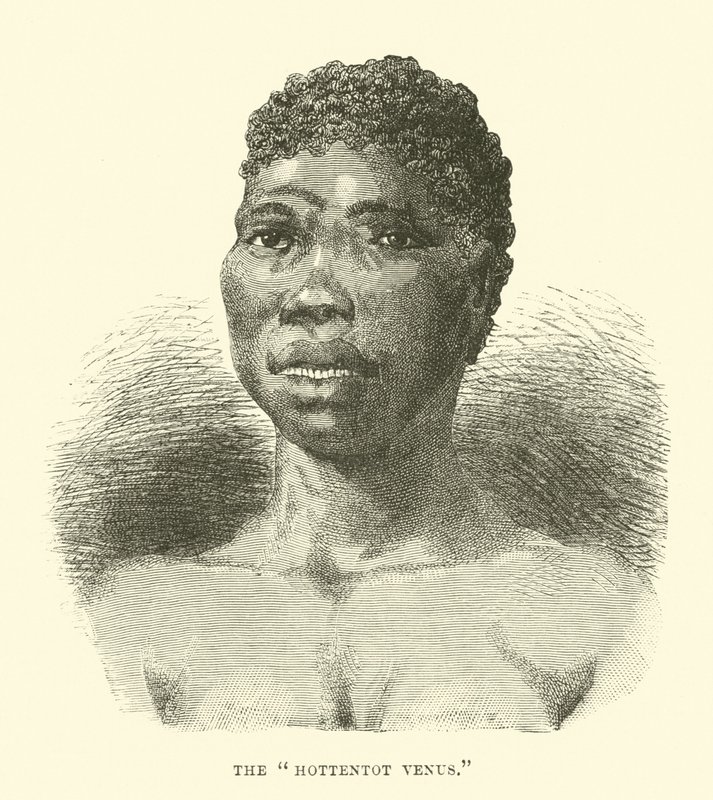 Die Hottentotten-Venus von English School