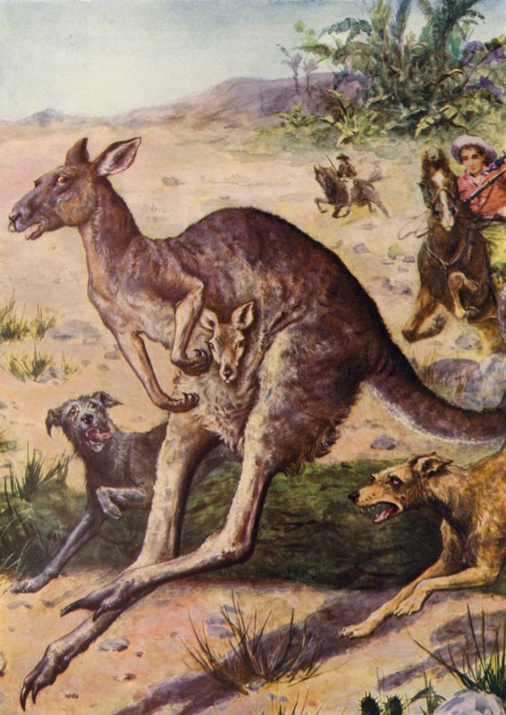 Die Jagd (Farblithografie) von English School