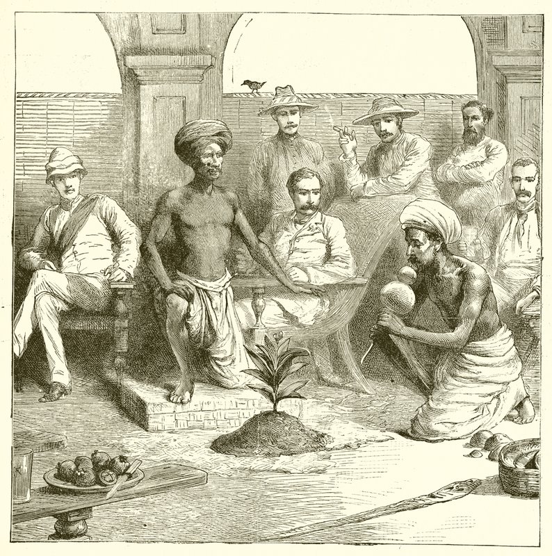 Der indische Pflanzentrick von English School