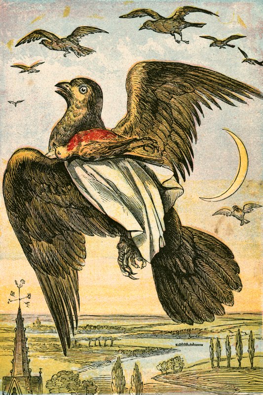 Der Drachen und das Rotkehlchen von English School