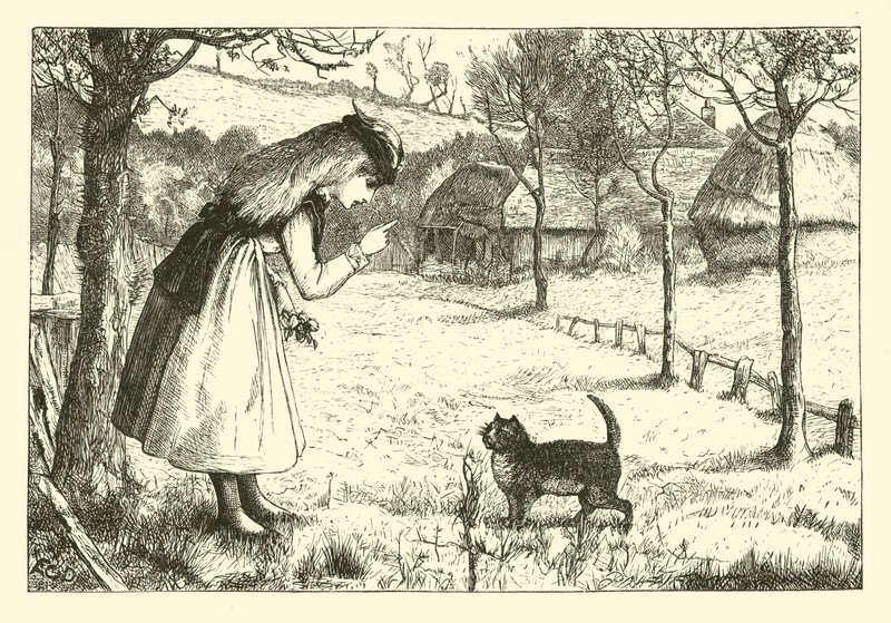 Die faule Katze von English School