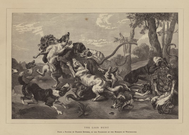 Die Löwenjagd (Gravur) von English School