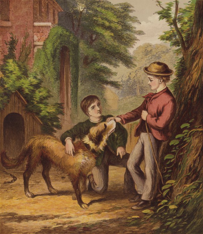 Der kleine Hund Trusty von English School