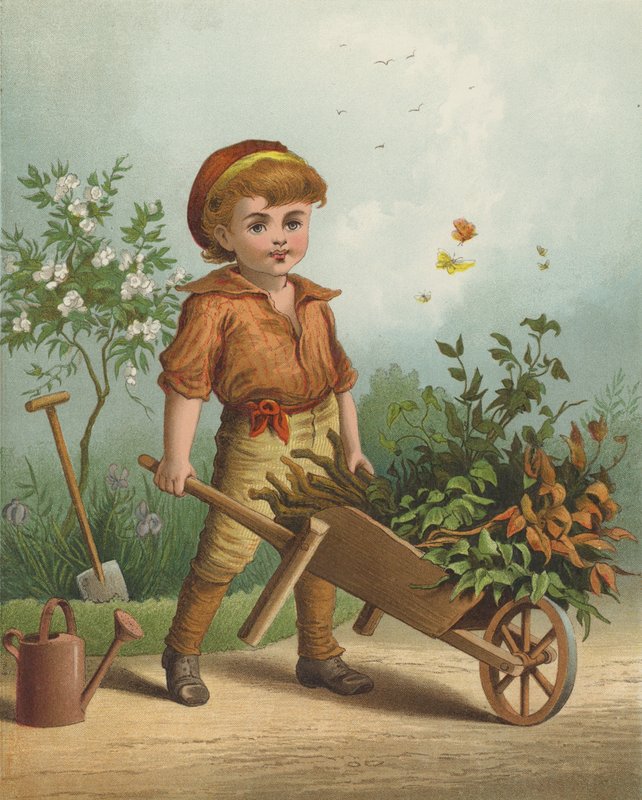 Der kleine Gärtner von English School