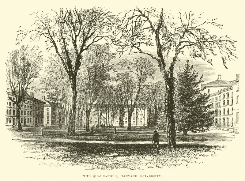 Der Innenhof, Harvard University von English School