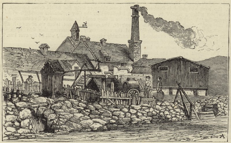 Die Königin in Balmoral von English School