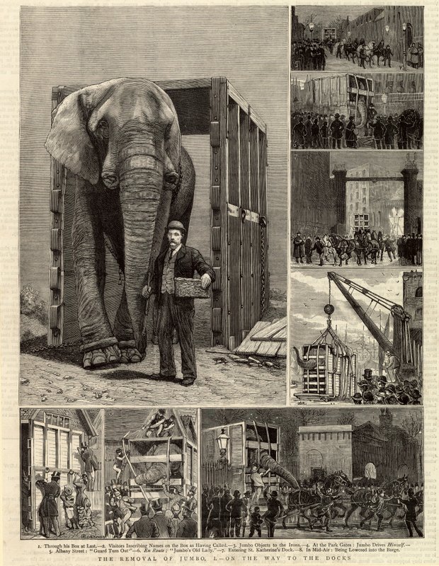 Die Entfernung von Jumbo von English School