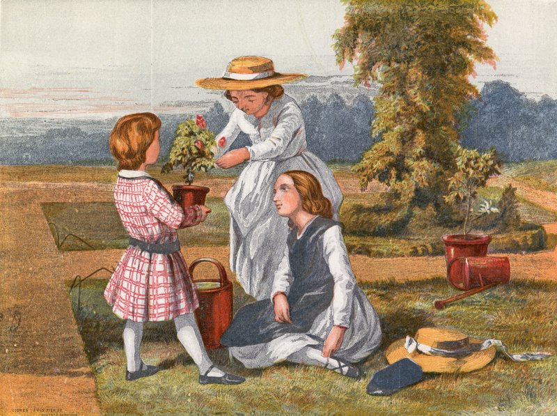 Die Rose von English School